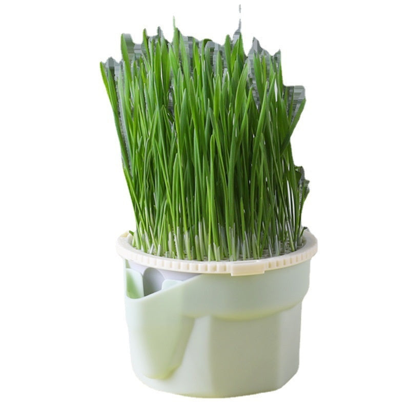Soilless Cat Grass Cup+Seeds