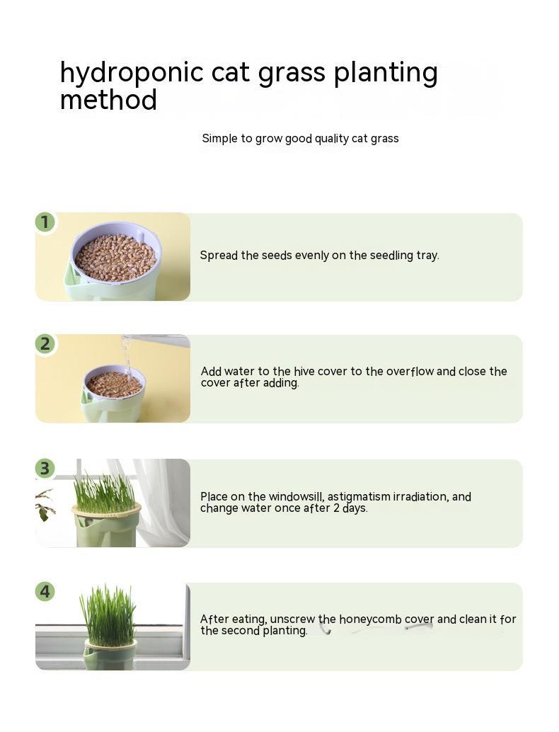Soilless Cat Grass Cup+Seeds