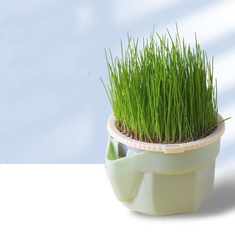 Soilless Cat Grass Cup+Seeds